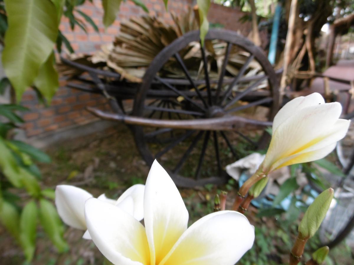 Andre Boutique Villa Siem Reap Ngoại thất bức ảnh