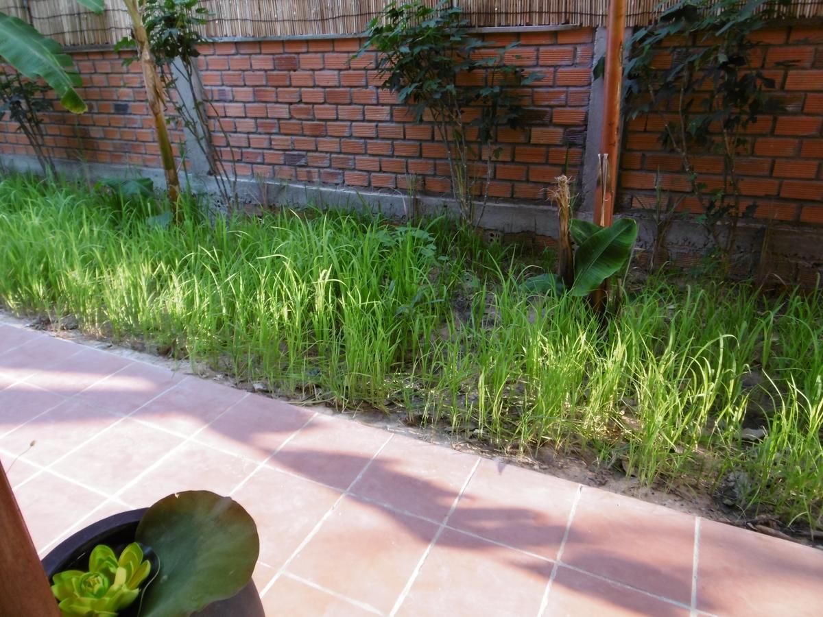 Andre Boutique Villa Siem Reap Ngoại thất bức ảnh