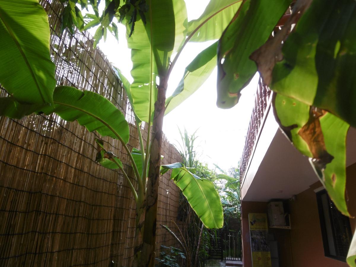 Andre Boutique Villa Siem Reap Ngoại thất bức ảnh